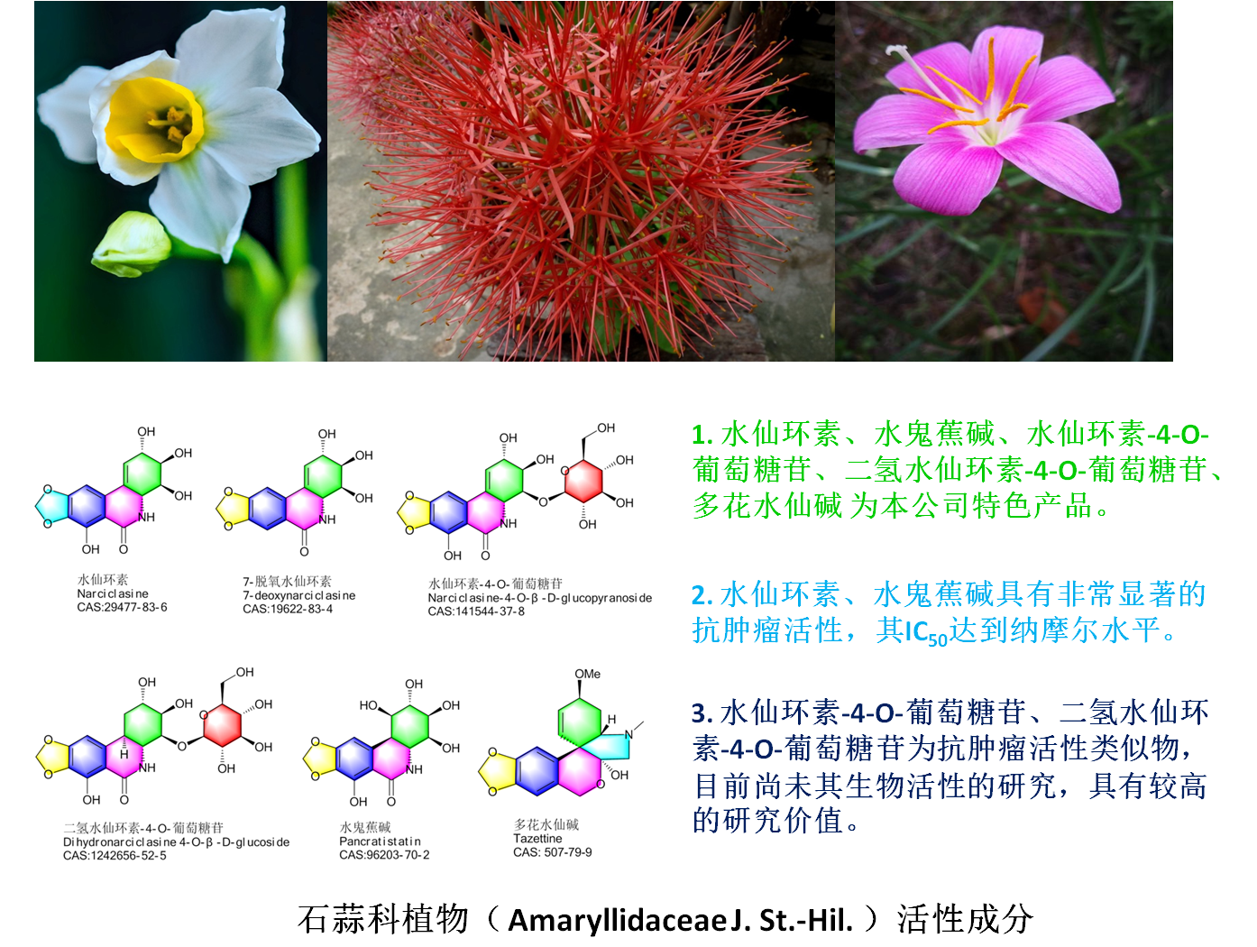 石蒜科植物抗腫瘤活性成分
