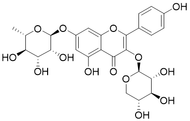 山奈酚-3-O-α-L-吡喃木糖-7-O-L-鼠李糖